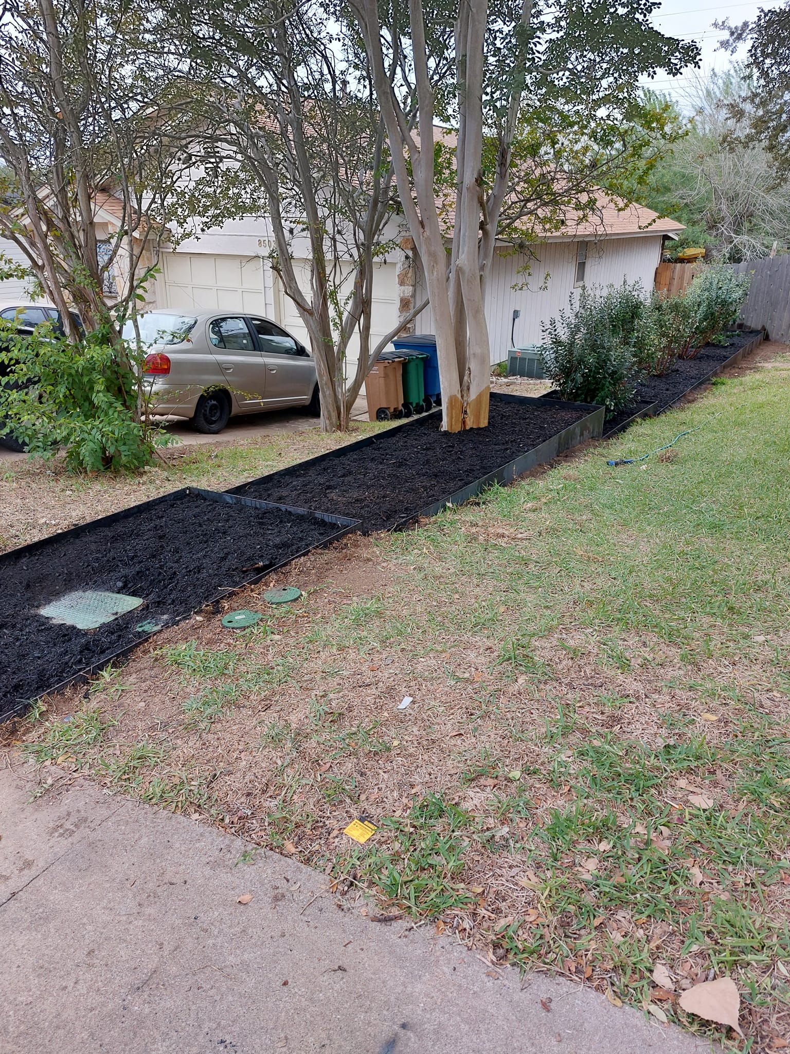 Backyard transformation and fence-friendly landscaping
